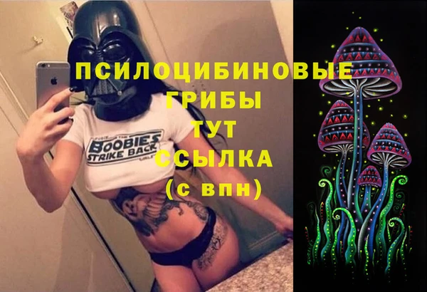 кокс Алексин