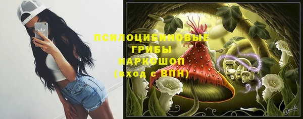 кокс Алексин