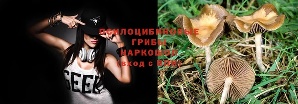 кокс Алексин