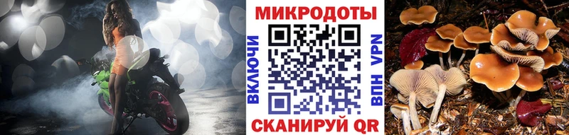 Галлюциногенные грибы ЛСД Алагир
