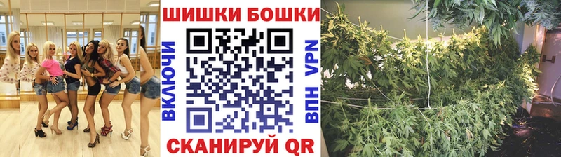сайты даркнета телеграм  Алагир  Канабис план 